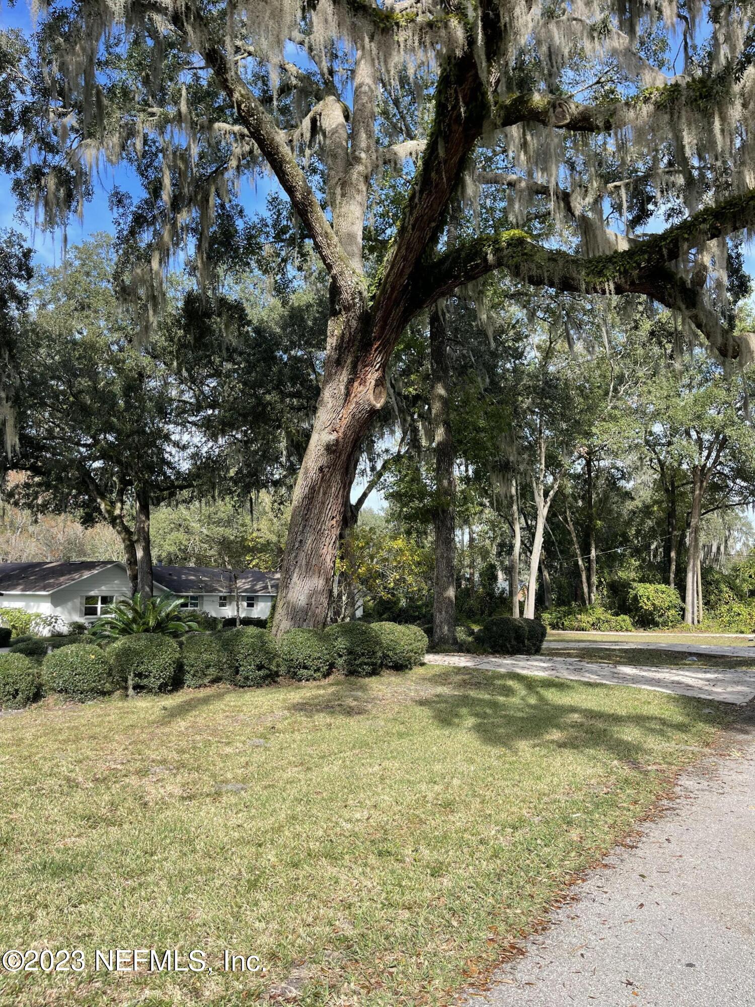 439 Southeast 28th Way Melrose, FL 32666 - Photo 8 of 55 IMG_6888