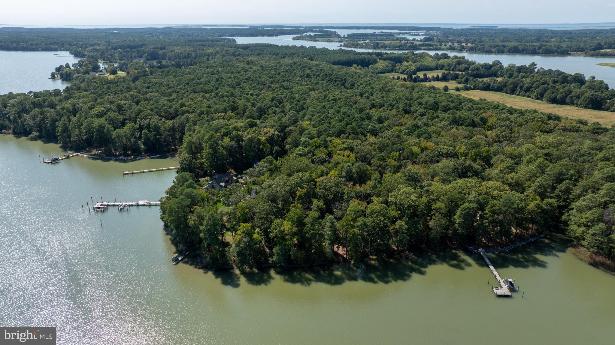 Bozman Neavitt St. Michaels, MD 21663 - Photo 1 of 4 an aerial view of residential house with outdoor space and trees all around