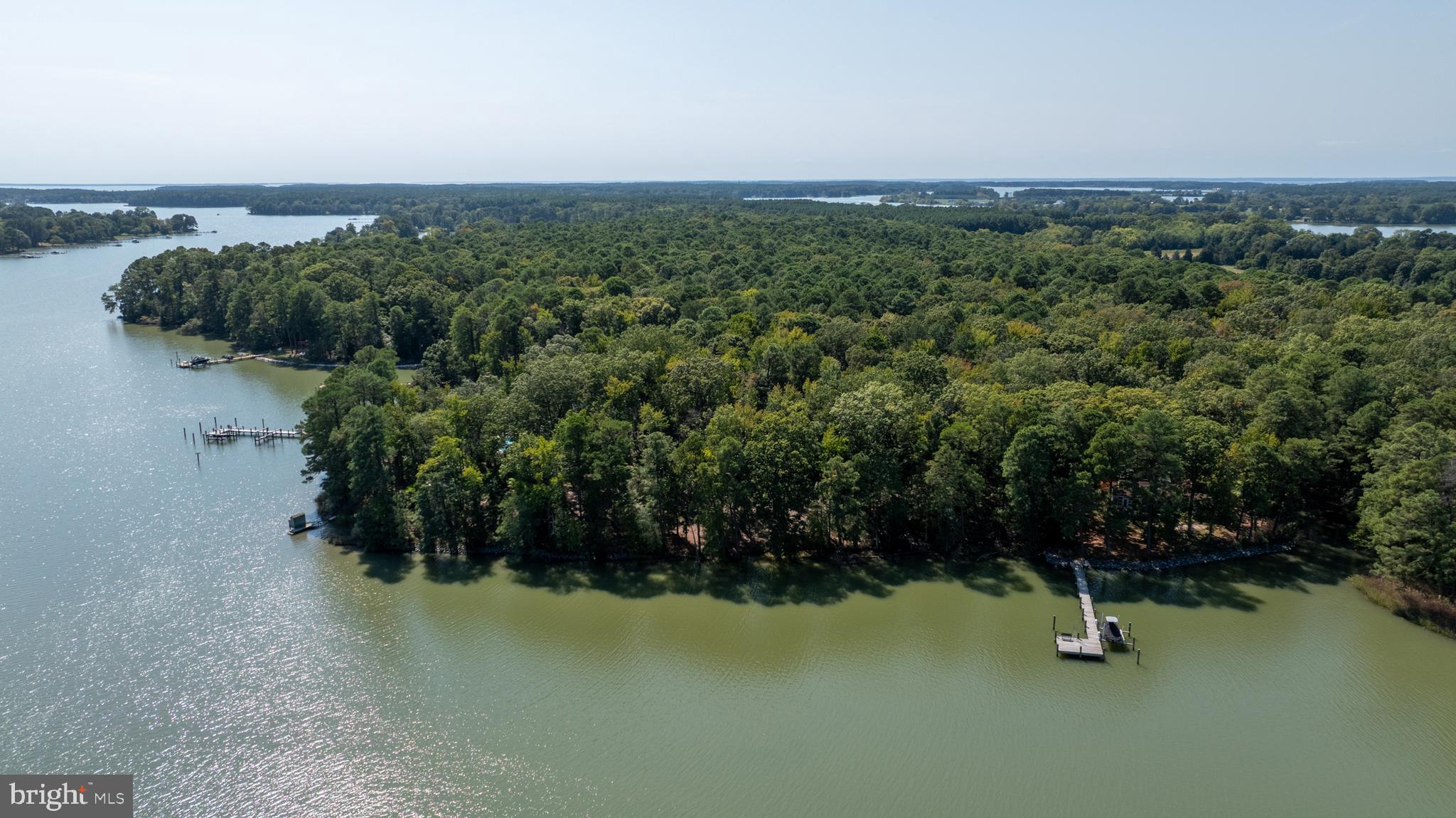 Bozman Neavitt St. Michaels, MD 21663 - Photo 4 of 4 a view of a garden