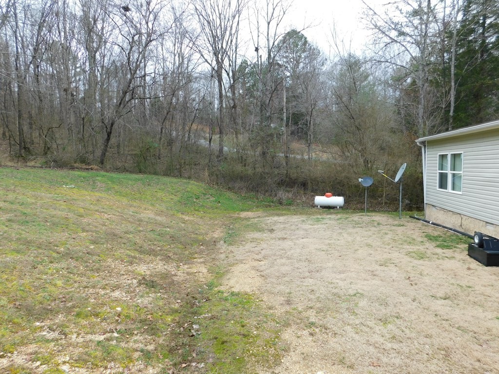 227 Sunshine Lane Decatur, TN 37322 - Photo 33 of 35 Gallery Image 33
