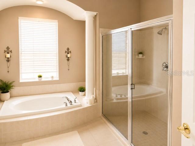 2021 Blue Beech Court Trinity, FL 34655 - Photo 8 of 11