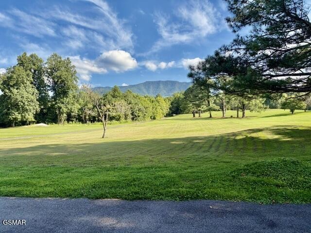 139 Martha McCarter Road Gatlinburg, TN 37738 - Photo 26 of 26 Gallery Image 26