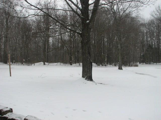 10822 Cutter Road Meadville, PA 16335 - Photo 3 of 21