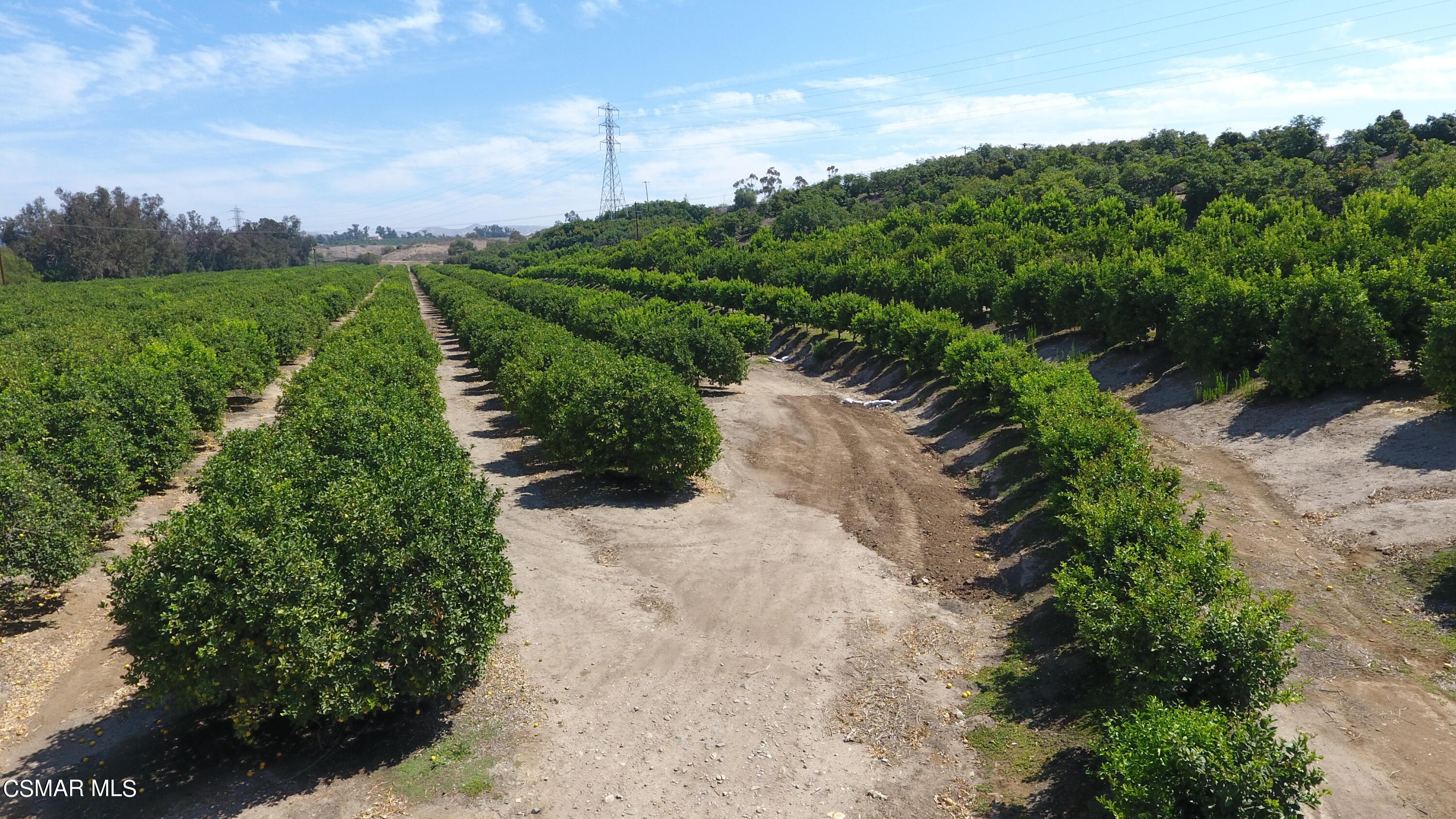 6493 Grimes Canyon Road Moorpark, CA 93021 - Photo 8 of 16 11