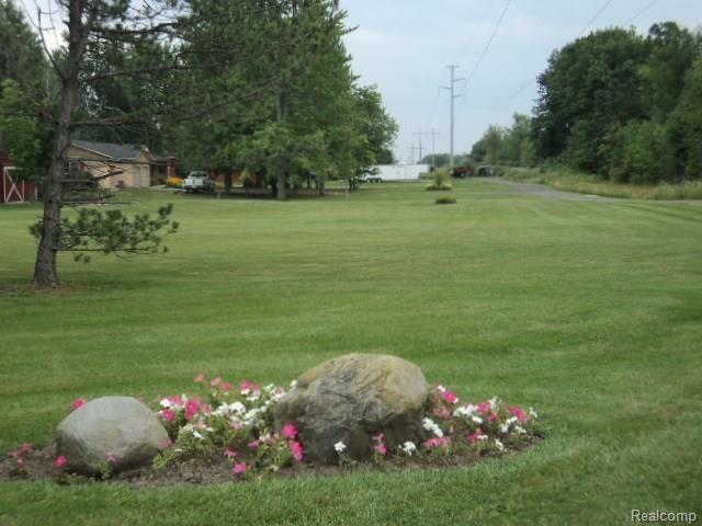 5519 Shoefelt Road North Street, MI 48049 - Photo 29 of 31 New Pictures 034.jpg