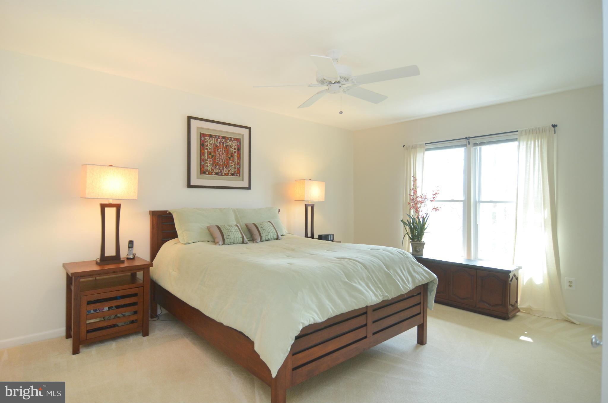 11125 Watermans Drive Reston, VA 20191 - Photo 13 of 26 The master bedroom has views of the trees.
