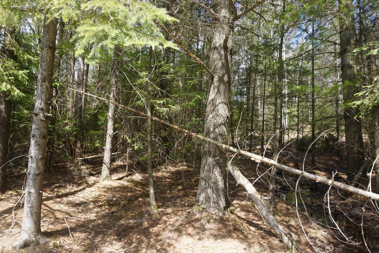 4295 Thunder Lane Rhinelander, WI 54501 - Photo 23 of 36 Gallery Image 23
