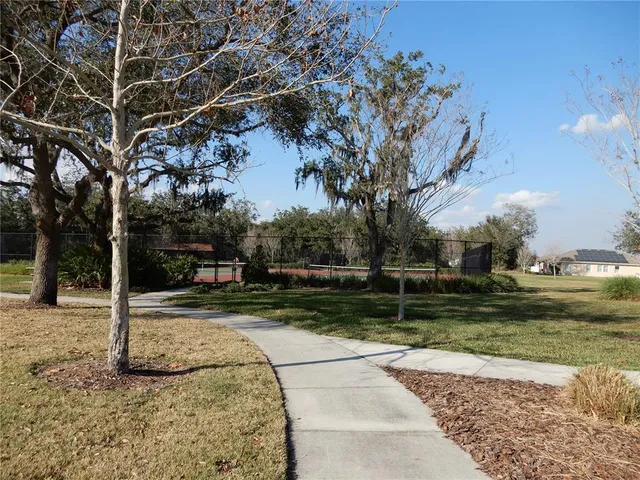 a view of a park that has a tree