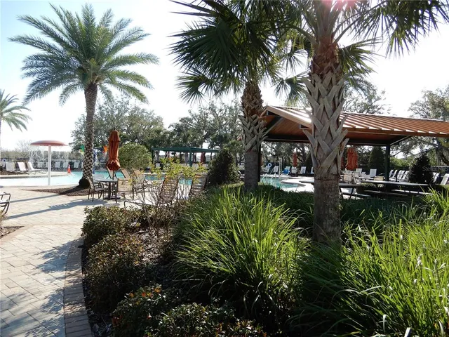 a view of a lake with palm trees