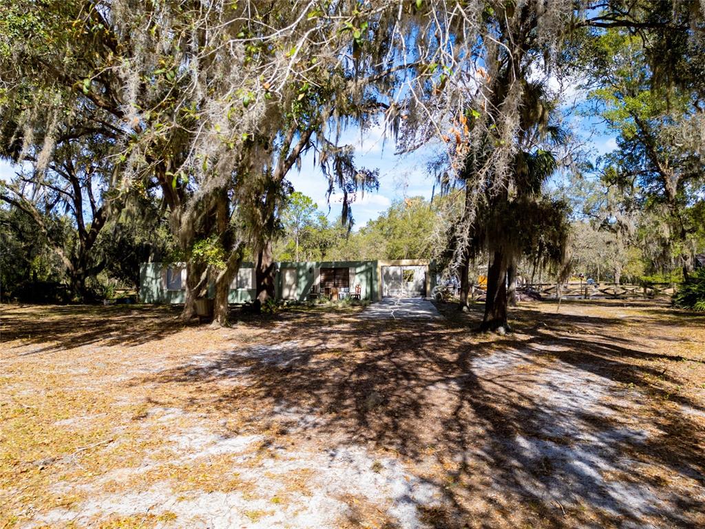 8725 Treasure Island Road Leesburg, FL 34788 - Photo 16 of 27 a view of a yard with a tree