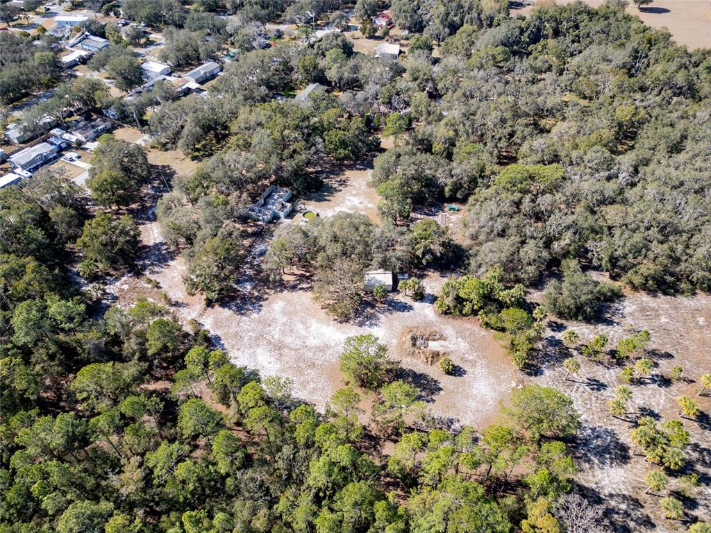 8725 Treasure Island Road Leesburg, FL 34788 - Photo 18 of 27 a view of a forest with a tree