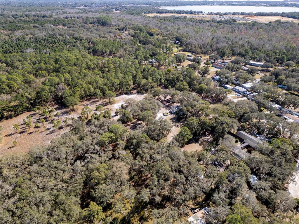 8725 Treasure Island Road Leesburg, FL 34788 - Photo 20 of 27 a view of a forest with a forest