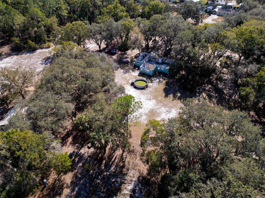 8725 Treasure Island Road Leesburg, FL 34788 - Photo 21 of 27 a view of a forest with a tree