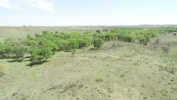 $725,000 | 320 Acres, Quail, TX 79251