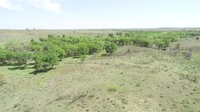 $725,000 | 320 Acres, Quail, TX 79251