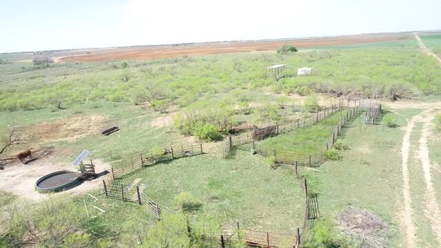 320 Acres Quail, TX 79251 - Photo 13 of 23 image21