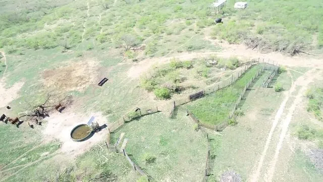 $725,000 | 320 Acres, Quail, TX 79251