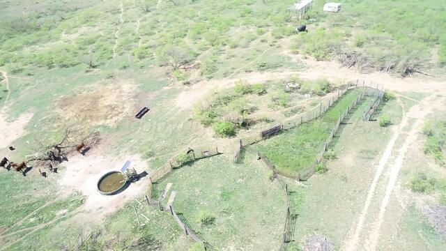 320 Acres Quail, TX 79251 - Photo 15 of 23 image23