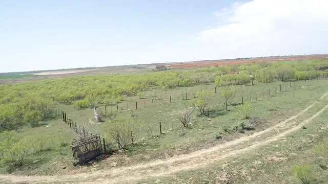 $725,000 | 320 Acres, Quail, TX 79251