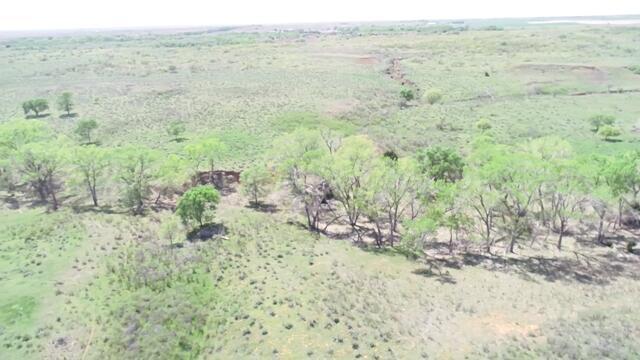 320 Acres Quail, TX 79251 - Photo 18 of 23 image26