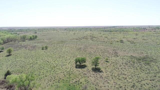 320 Acres Quail, TX 79251 - Photo 19 of 23 image27