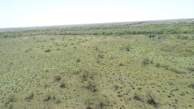 $725,000 | 320 Acres, Quail, TX 79251