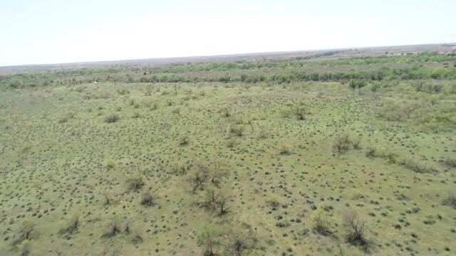 320 Acres Quail, TX 79251 - Photo 20 of 23 image28