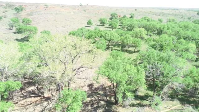 $725,000 | 320 Acres, Quail, TX 79251