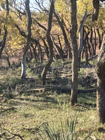 $725,000 | 320 Acres, Quail, TX 79251