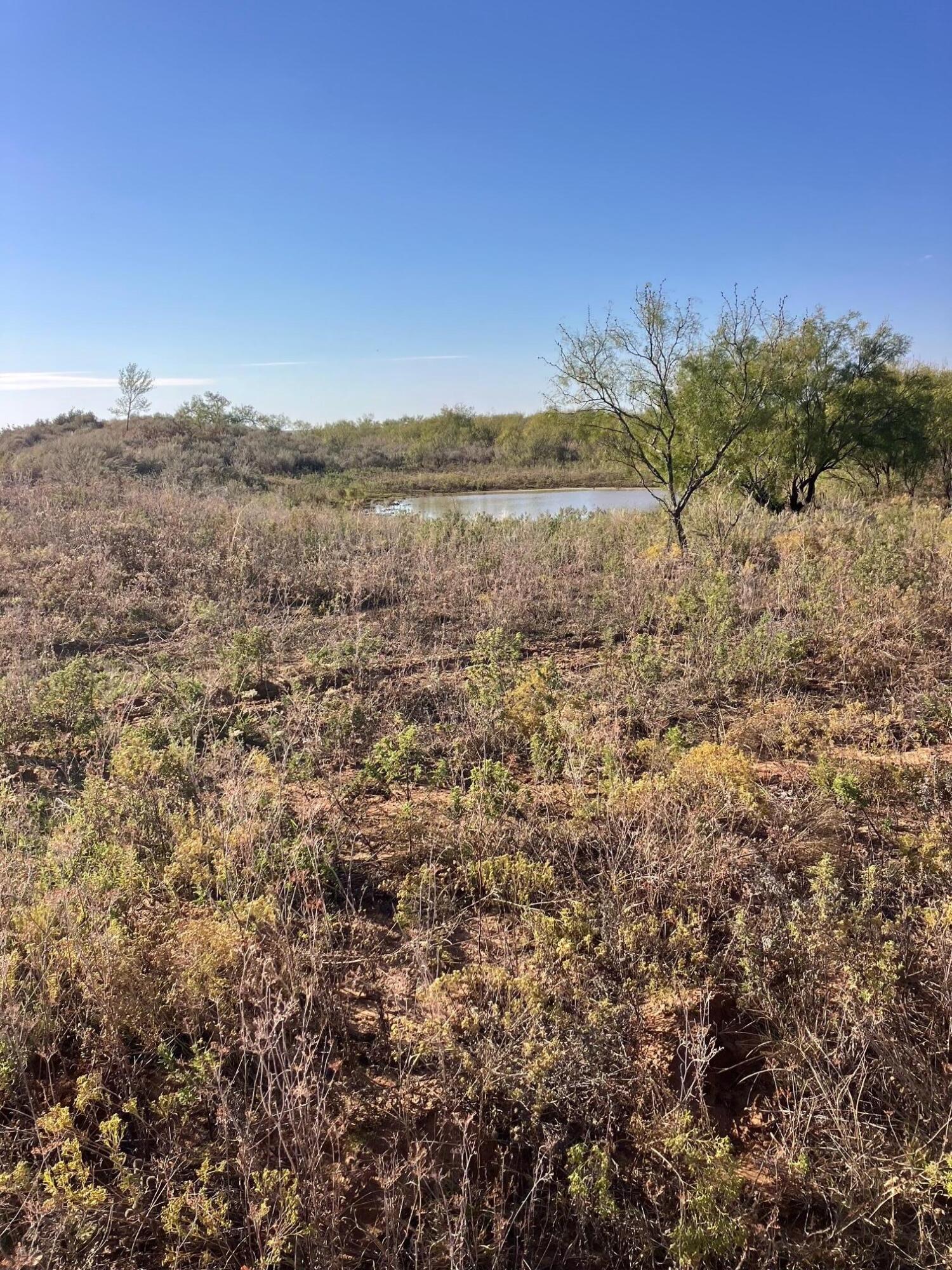 320 Acres Quail, TX 79251 - Photo 22 of 23 IMG_4391