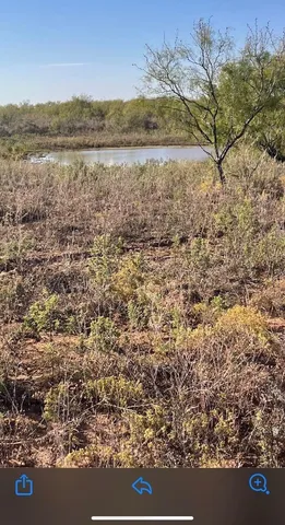 $725,000 | 320 Acres, Quail, TX 79251