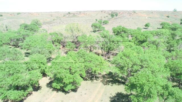 320 Acres Quail, TX 79251 - Photo 3 of 23 image8