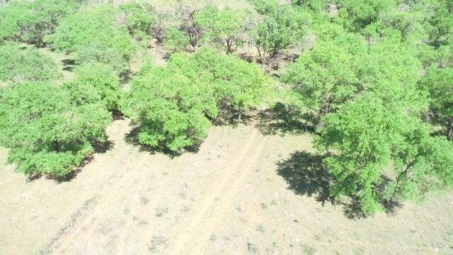320 Acres Quail, TX 79251 - Photo 4 of 23 image9