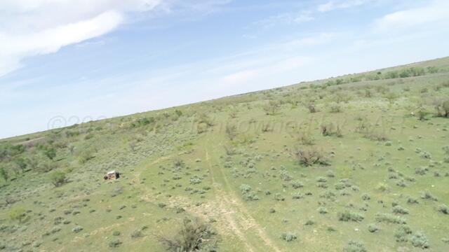 320 Acres Quail, TX 79251 - Photo 5 of 23 image11