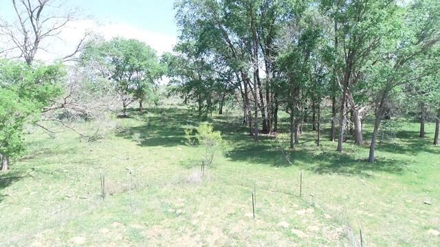 320 Acres Quail, TX 79251 - Photo 8 of 23 image15