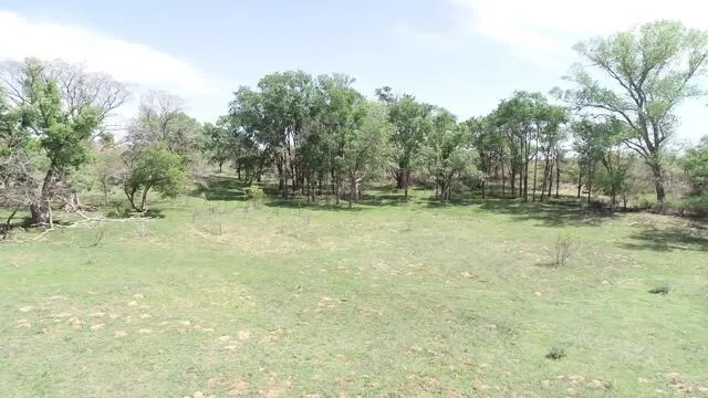 $725,000 | 320 Acres, Quail, TX 79251