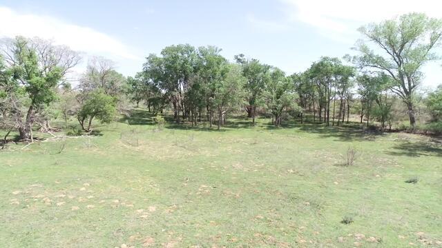 320 Acres Quail, TX 79251 - Photo 9 of 23 image16