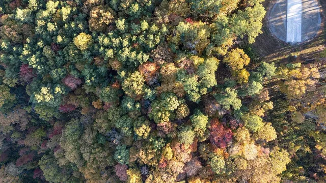 $975,000 | 0 Buck Crossing Drive, Guild, TN 37340