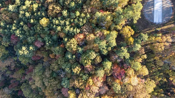 a view of a swimming pool and lounge chairs in back yard of the house