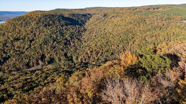 $975,000 | 0 Buck Crossing Drive, Guild, TN 37340