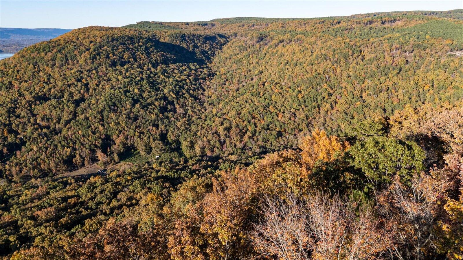 0 Buck Crossing Drive Guild, TN 37340 - Photo 6 of 28