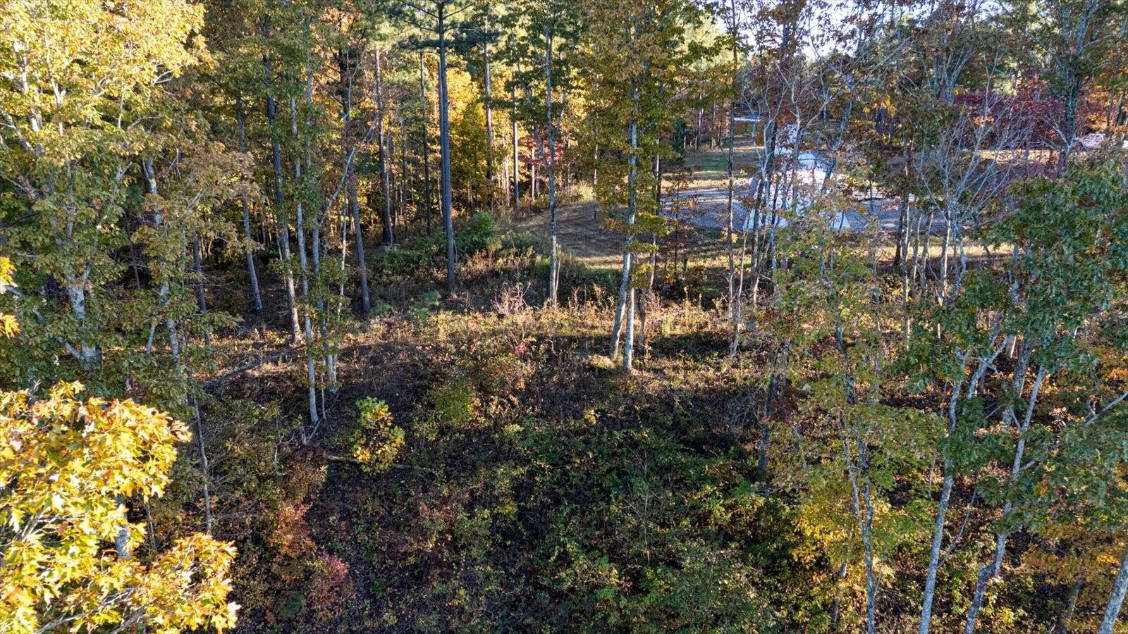 0 Buck Crossing Drive Guild, TN 37340 - Photo 7 of 28