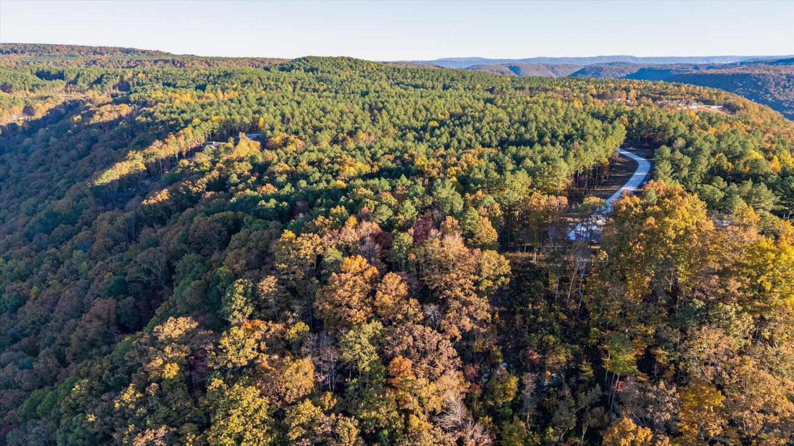 0 Buck Crossing Drive Guild, TN 37340 - Photo 9 of 28