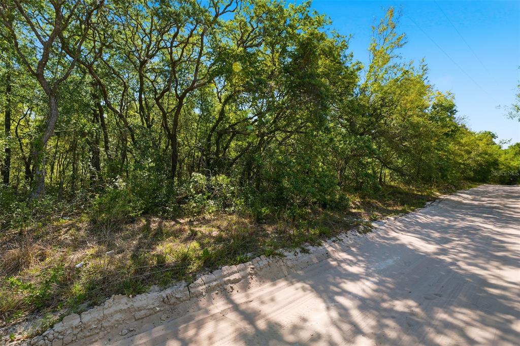0 Coyote Road Hudson, FL 34669 - Photo 6 of 13