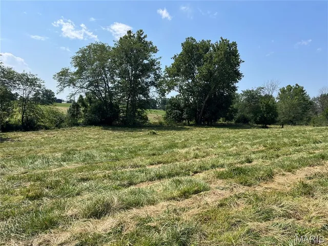 $65,000 | 0 Lot 12 Pike, Bowling Green, MO 63334