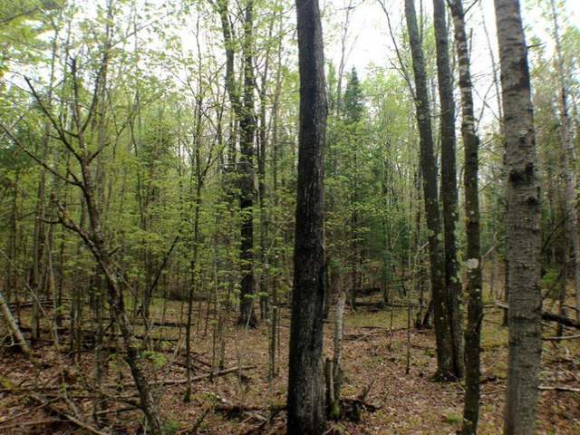 3518 Old 26 Road Conover, WI 54519 - Photo 9 of 20 Gallery Image 9
