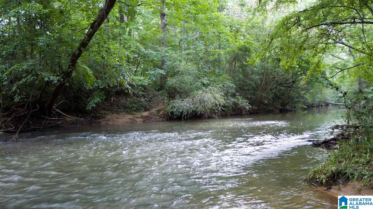 180 Gibson Road, Unit 76 / ACRES OFF GIBSON R Columbiana, AL 35051 - Photo 36 of 50
