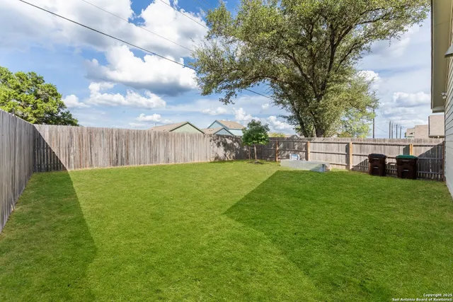 a view of a yard with a large tree