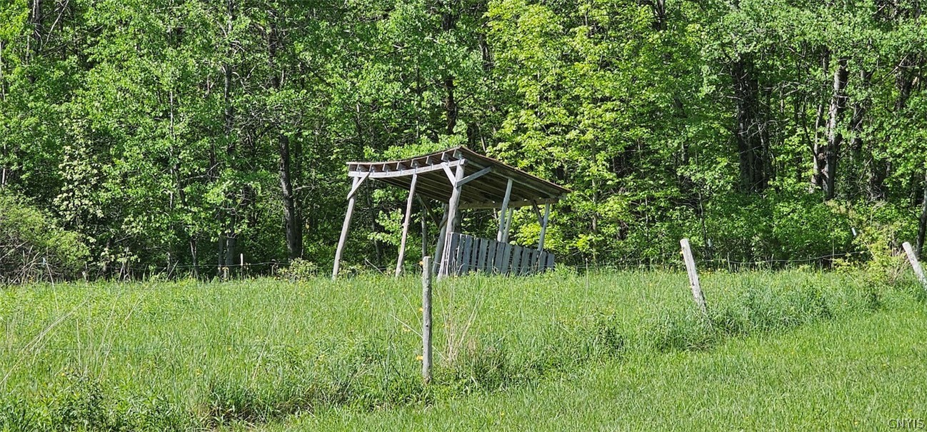 Sprouls Road Cortland, NY 13045 - Photo 21 of 48