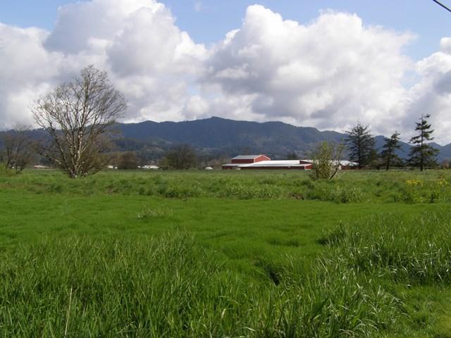 Vl Hadley Road North Tillamook, OR 97141 - Photo 2 of 18 HarperHadley.JPG